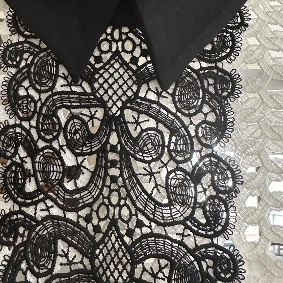 Gorgeous Zara black and white giupure lace dress - Picture 8 of 9